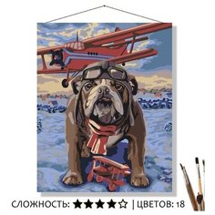 Картина по номерам 50*40 Северный пилот Selfica