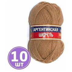 Пряжа для вязания спицами, крючком Камтекс Аргентинская шерсть классическая средняя, 100% шерсть импортная цвет 005 бежевый, 10 шт. по 100 г 200 м