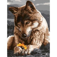 Картина по номерам Мир прекрасен 40х50 см Hobby Home