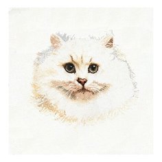 Thea Gouverneur Набор для вышивания Белый персидский кот 42 х 42 см (1045A)