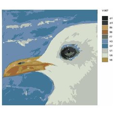 Картина по номерам V-967 "Чайки - зоркий взгляд", 40x40 см Brushes Paints