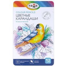 Карандаши цветные Гамма "Классические" 12цв, увелич. диаметр грифеля 3,3мм, заточен, метал. пенал Gamma