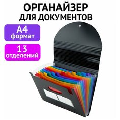 Папка-органайзер для рисунков, чертежей, листов, бумаг, документов на резинке, 13 отделений, Brauberg Docs, А4, черная, 271152