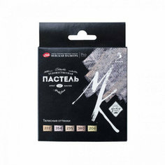 Мастер-Класс Набор художестенной пастели 5 цветов Телесные оттенки Невская палитра