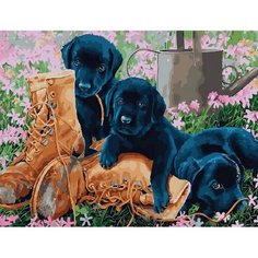 Картина по номерам Забавная находка 40х50 см Hobby Home