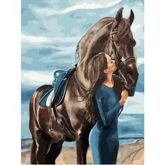 Картина по номерам Грация 40х50 см Hobby Home