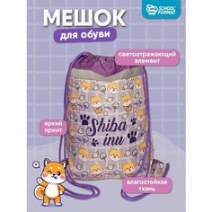 Мешок для обуви сумка для сменки для девочки в школу SchoolФормат