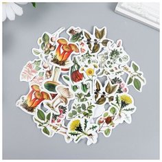 Наклейки для творчества "Цветы и грибы" набор 46 шт 6х4х1,1 см