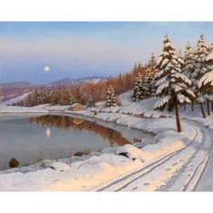 Алмазная мозаика круглыми стразами 40x50 Зимний вечер Colibri