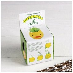 Набор для творчества "Пшеничка из яичка" Top Market