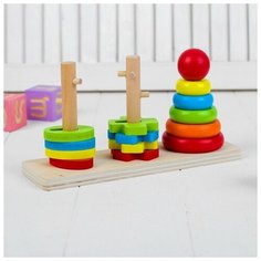 Пирамидка логическая «Цветочки и кружочки» Без бренда