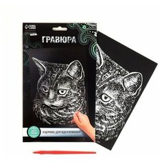 Гравюра «Британская кошка» с металлическим эффектом серебра А5 Школа талантов