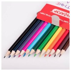 Карандаши цветные пифагор "Веселая такса", 12 цветов, классические, заточенные, 181806