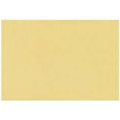 Fabriano Бумага для пастели "Tiziano" 160г/м2 50x65см банановый, 10л