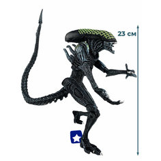 Фигурка Чужой Клетчатый ксеноморф AvP Чужой против Хищника Alien vs Predator (23 см) Star Friend
