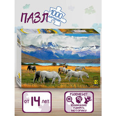 Пазл "Лошади в парке. Чили" 1000 деталей Step Puzzle