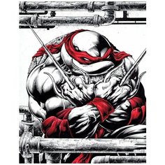 Картина по номерам Рафаэль 40х50 см АртТойс