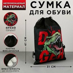 Сумка для обуви Динозавр, нетканное полотно, размер 41х31 см Made in China