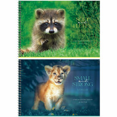 Альбом для рисования 48л, А4, на гребне ArtSpace "Животные. Wild history", эконом, 8 штук, 335590 Спейс