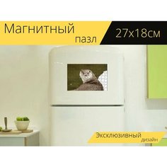 Магнитный пазл "Выдра, зима, снежно" на холодильник 27 x 18 см. Lots Prints