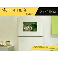 Магнитный пазл "Заброшенный, жук, машина" на холодильник 27 x 18 см. Lots Prints