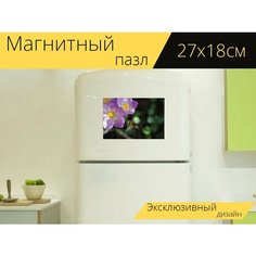 Магнитный пазл "Крокус, пчела, расцветает" на холодильник 27 x 18 см. Lots Prints