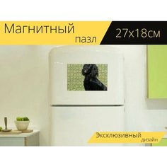 Магнитный пазл "Собака, кокер, спаниель" на холодильник 27 x 18 см. Lots Prints