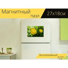 Магнитный пазл "Цветы, болотные цветы, северные цветы" на холодильник 27 x 18 см. Lots Prints