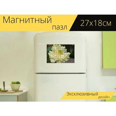 Магнитный пазл "Цветок лотоса, лепестки, цветочная пыльца" на холодильник 27 x 18 см. Lots Prints