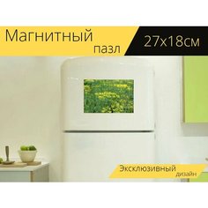 Магнитный пазл "Укроп, зонтик укропа, цветы укропа" на холодильник 27 x 18 см. Lots Prints