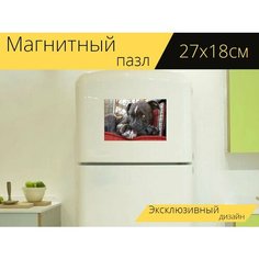 Магнитный пазл "Питбуль, щенок, наблюдая" на холодильник 27 x 18 см. Lots Prints
