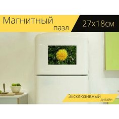 Магнитный пазл "Одуванчик, желтый, цвести" на холодильник 27 x 18 см. Lots Prints