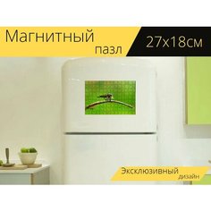 Магнитный пазл "Łowczak голубоватый, нахлыст, потерпевший" на холодильник 27 x 18 см. Lots Prints
