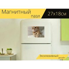 Магнитный пазл "Кошка, кот, животное" на холодильник 27 x 18 см. Lots Prints