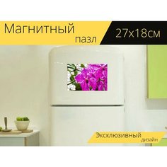 Магнитный пазл "Орхидея, розовый, белый" на холодильник 27 x 18 см. Lots Prints