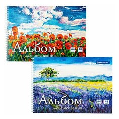 Альбом для рисования, А4, 48 л, гребень, обложка картон, BRAUBERG, 205х290 мм, "Летний пейзаж" (2 вида), 106328 - 8 шт.