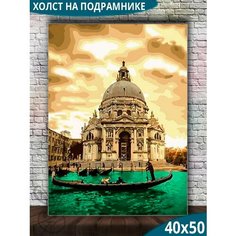 Картина по номерам 40х50 Paintboy