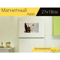 Магнитный пазл "Будда, будда уборщик, очищающее средство" на холодильник 27 x 18 см. Lots Prints