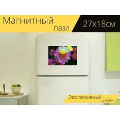 Магнитный пазл "Хризантемы, цветы, цветет" на холодильник 27 x 18 см. Lots Prints