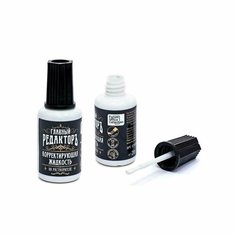 Корректирующая жидкость 20мл главный редактор на быстросохнущей основе (10 шт.) Noname