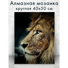 Алмазная мозаика (круглая) Гордый лев 40х50 см Colibri