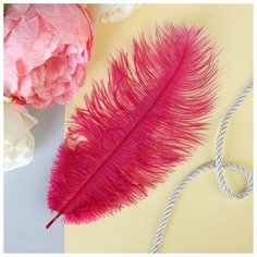 Перо для декора, размер: 24 см, цвет бордовый Noname