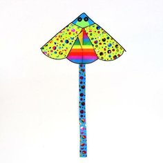 Воздушный змей «Насекомое», с леской, цвета микс Noname