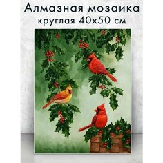 Алмазная мозаика (круглая) Красные кардиналы 40х50 см Colibri