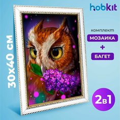 Алмазная мозаика полная выкладка HOBKIT "Сова 30х40+Багет белый " 40х30 размер холста,