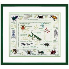 Набор для вышивания: LES INSECTES (Насекомые)