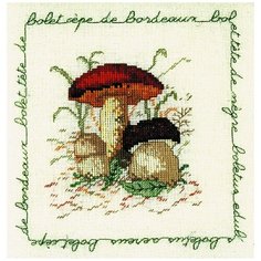 Набор для вышивания: BOLET CEPE DE BORDEAUX (Белый гриб)