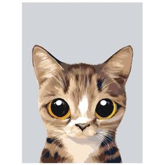 Картина по номерам, "Живопись по номерам", 45 x 60, A562, котёнок, большие глаза, изолированный фон, животное, милый