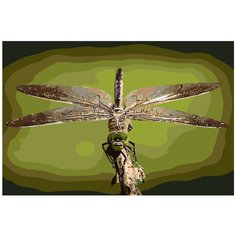 Картина по номерам, "Живопись по номерам", 80 x 120, KTMK-fragongly012