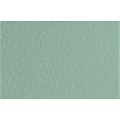 Бумага для пастели Fabriano "Tiziano" 70x100см 160г/м. кв №13 шалфей 52811013